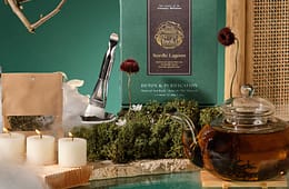 Inoki Bathhouse review